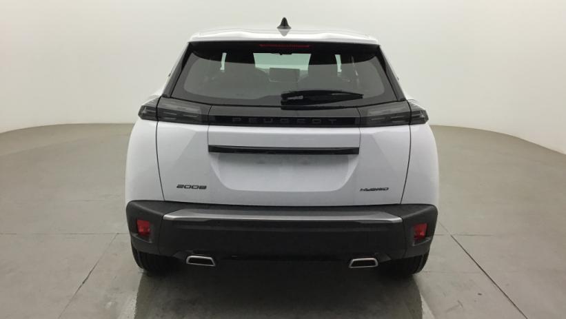 Aperçu du véhicule : 2008 Hybrid 145 e-DCS6 Style