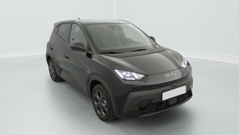 Aperçu du véhicule : 43.2 kWh 156 ch Comfort